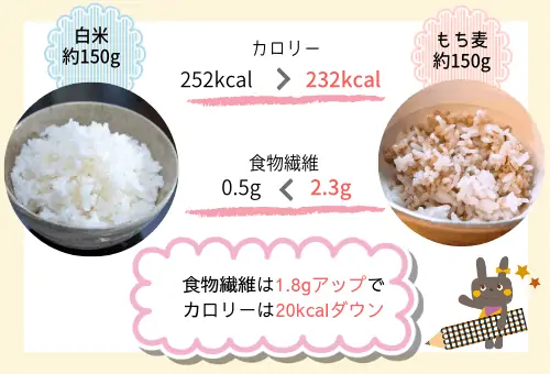 白米ともち麦のカロリー比較